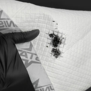 unistar skin care soaker pads 10 pcs prodaktattoosupply7